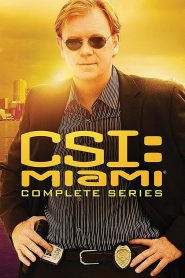 CSI Kryminalne zagadki Miami online