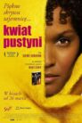 Kwiat pustyni online