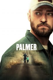 Palmer online