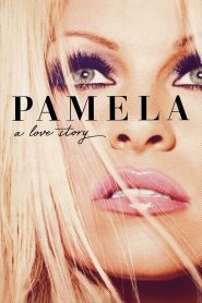 Pamela Historia miłosna online