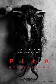Piła: Dziedzictwo online